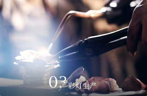 自貢燈會、彩燈彩船制作、會展、仿真恐龍-自貢燈貿